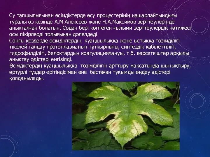 Су тапшылығынан өсімдіктерде өсу процестерінің нашарлайтындығы туралы өз кезінде А.М.Алексеев