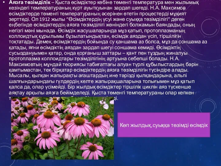 Аязға төзімділік – Қыста өсімдіктер көбіне төменгі температура мен жылымық