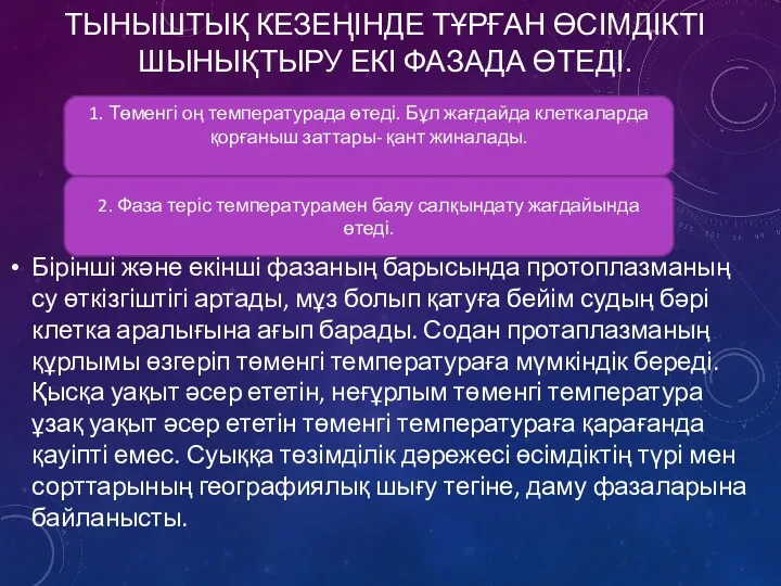 ТЫНЫШТЫҚ КЕЗЕҢІНДЕ ТҰРҒАН ӨСІМДІКТІ ШЫНЫҚТЫРУ ЕКІ ФАЗАДА ӨТЕДІ. Бірінші және