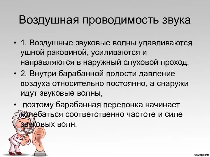 Воздушная проводимость звука 1. Воздушные звуковые волны улавливаются ушной раковиной,