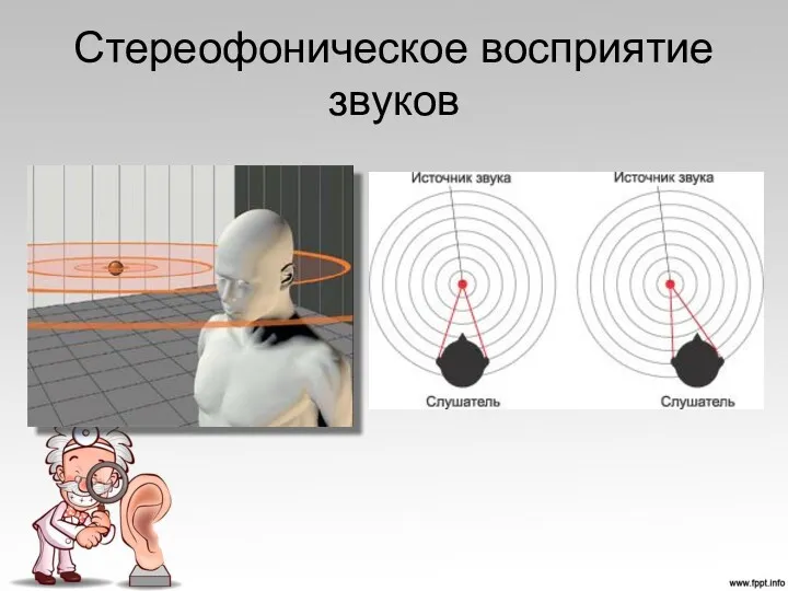 Стереофоническое восприятие звуков