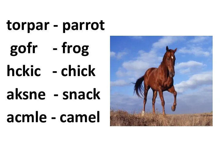 torpar - parrot gofr - frog hckic - chick aksne - snack acmle - camel