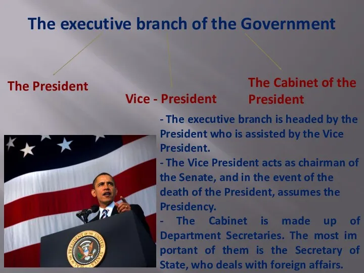 The executive branch of the Government The President Vice -