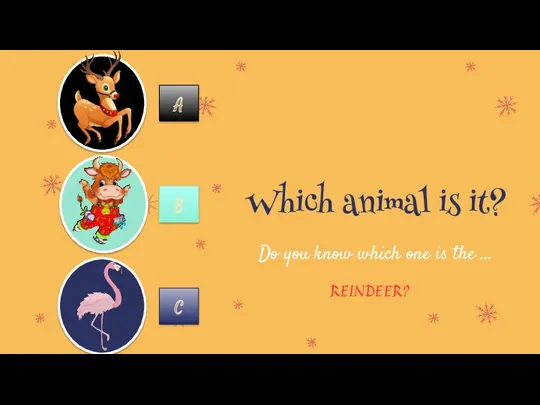 Which animal is it? Do you know which one is the … REINDEER? A B C
