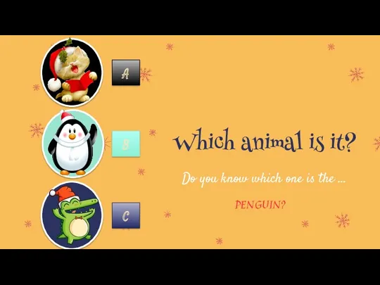 Which animal is it? Do you know which one is the … PENGUIN? A B C