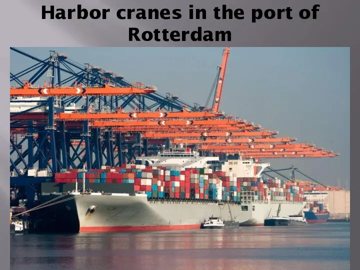 Harbor cranes in the port of Rotterdam
