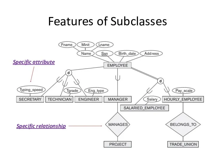 Specific attribute Specific relationship Features of Subclasses