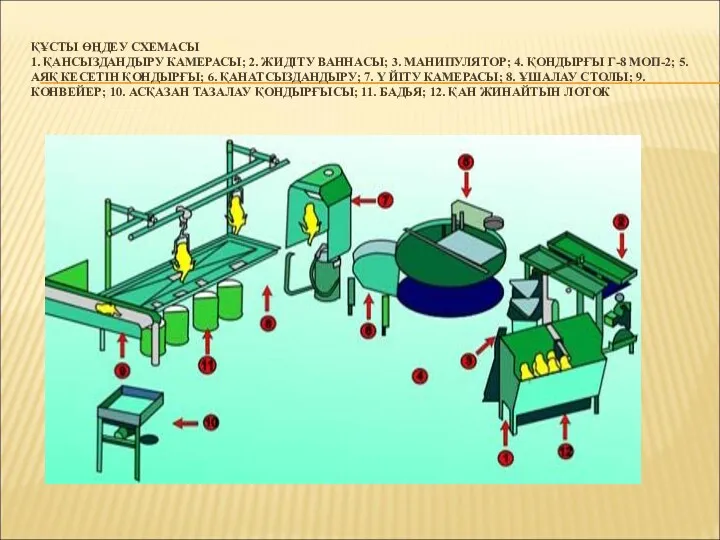 ҚҰСТЫ ӨҢДЕУ СХЕМАСЫ 1. ҚАНСЫЗДАНДЫРУ КАМЕРАСЫ; 2. ЖИДІТУ ВАННАСЫ; 3.