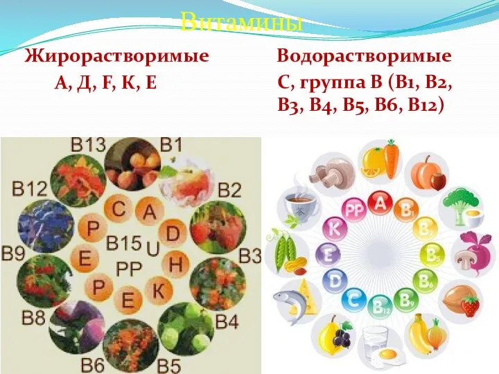 Витамины Жирорастворимые Водорастворимые А, Д, F, К, Е С, группа В (В1, В2,