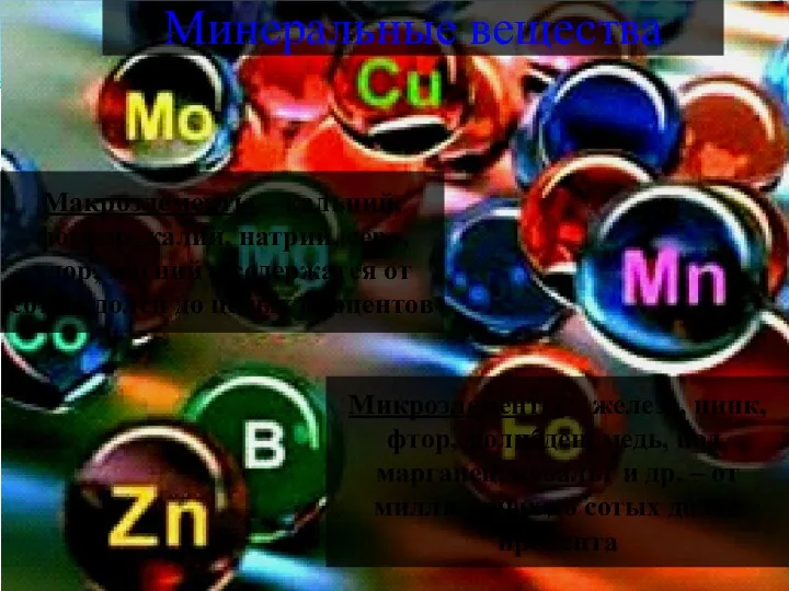 Минеральные вещества Макроэлементы – кальций, фосфор, калий, натрий, сера, хлор, магний – содержатся
