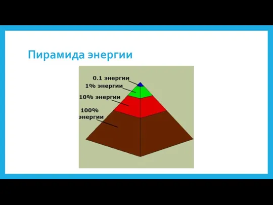 Пирамида энергии