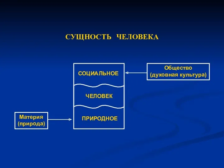 СУЩНОСТЬ ЧЕЛОВЕКА Общество (духовная культура) Материя (природа)