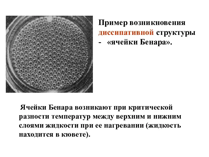 Пример возникновения диссипативной структуры - «ячейки Бенара». Ячейки Бенара возникают