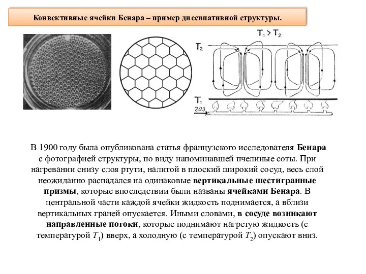 Конвективные ячейки Бенара – пример диссипативной структуры. В 1900 году