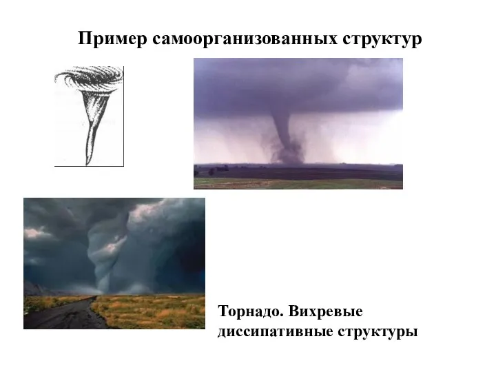 Пример самоорганизованных структур Торнадо. Вихревые диссипативные структуры