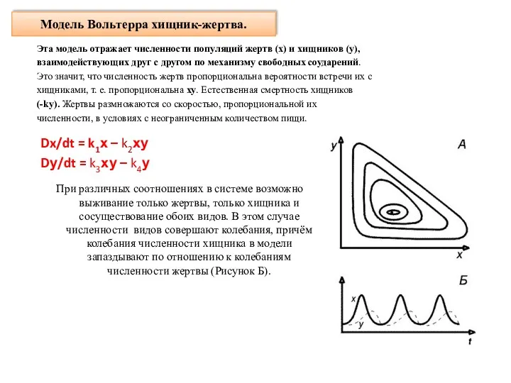 Модель Вольтерра хищник-жертва. Эта модель отражает численности популяций жертв (х)