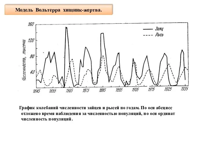 Модель Вольтерра хищник-жертва. График колебаний численности зайцев и рысей по