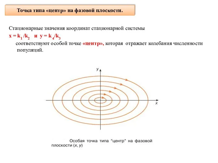 Точка типа «центр» на фазовой плоскости. Стационарные значения координат стационарной