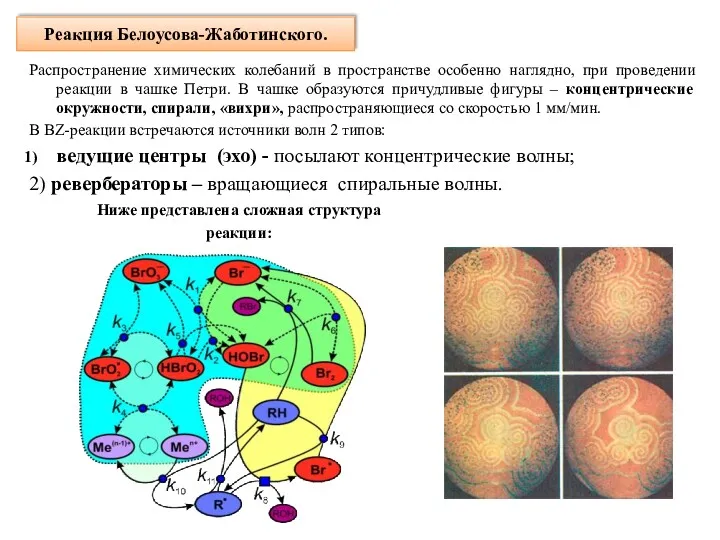 Реакция Белоусова-Жаботинского. Ниже представлена сложная структура реакции: