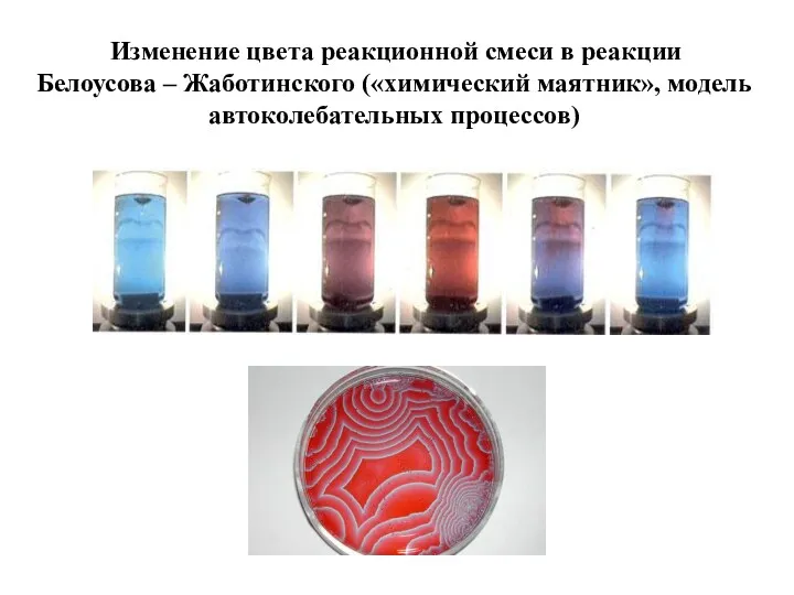 Изменение цвета реакционной смеси в реакции Белоусова – Жаботинского («химический маятник», модель автоколебательных процессов)