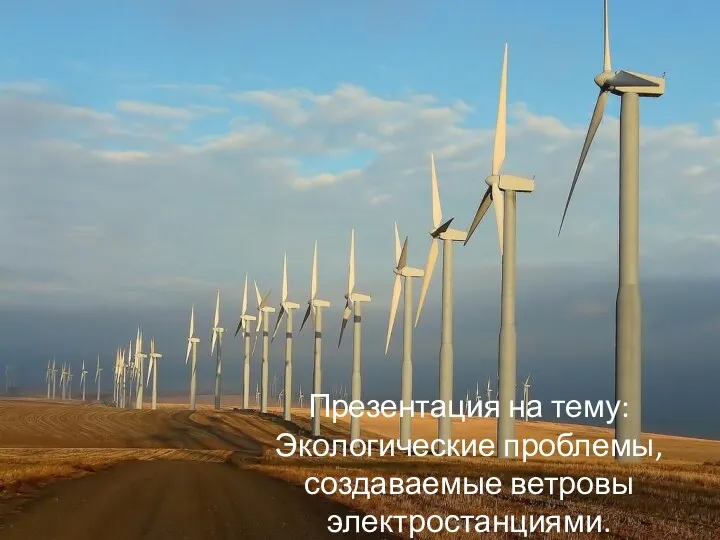 Экологические проблемы, создаваемые ветровыми электростанциями