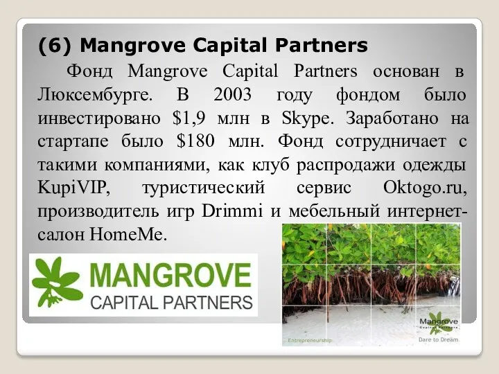 (6) Mangrove Capital Partners Фонд Mangrove Capital Partners основан в