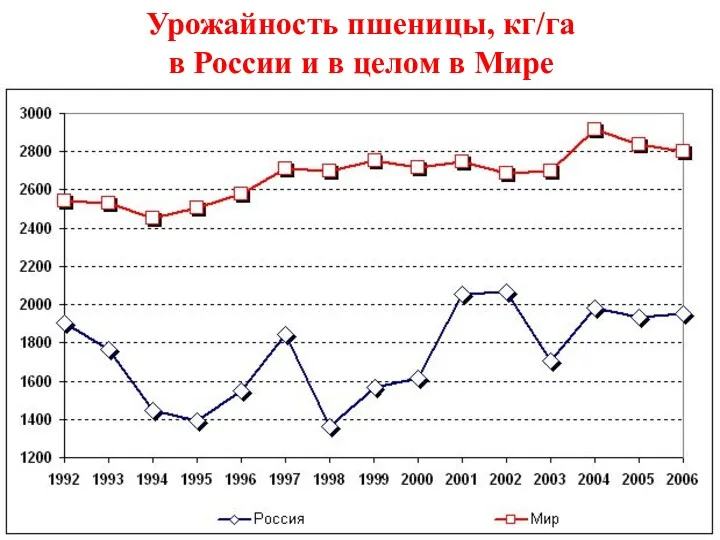 Урожайность пшеницы, кг/га в России и в целом в Мире