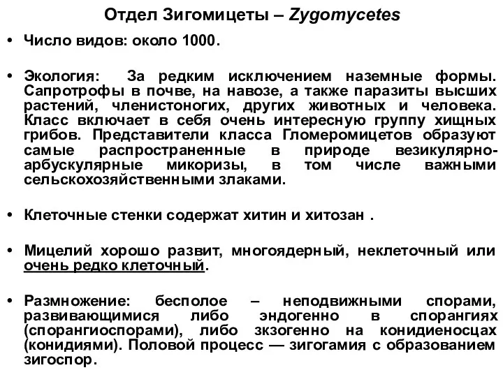 Отдел Зигомицеты – Zygomycetes Число видов: около 1000. Экология: За