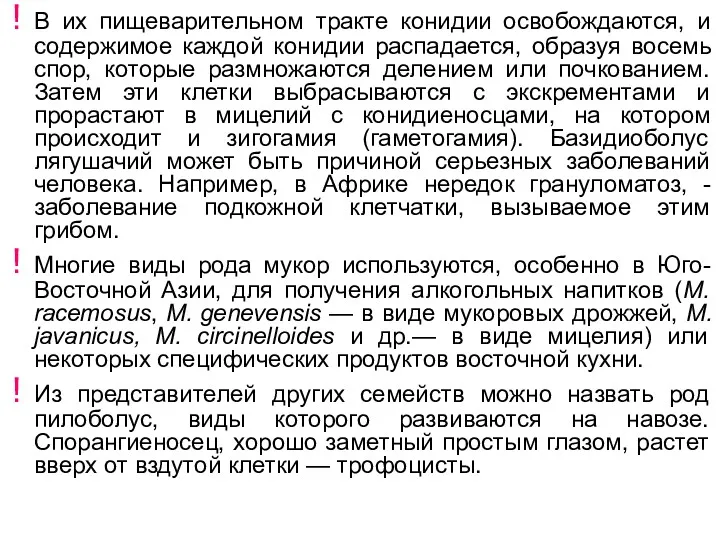 В их пищеварительном тракте конидии освобождаются, и содержимое каждой конидии