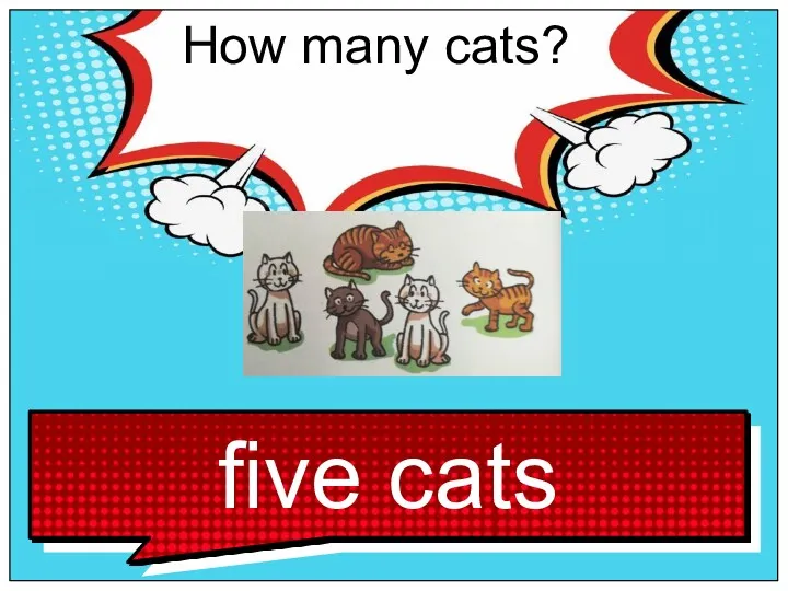 How many cats?