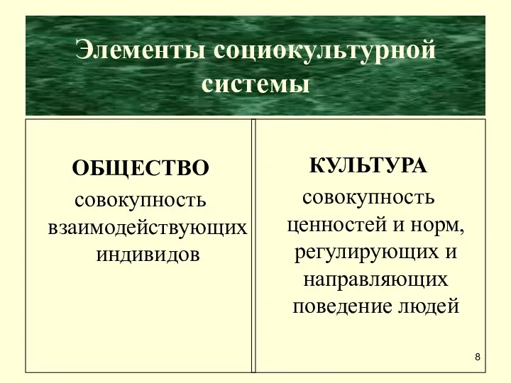 Элементы социокультурной системы ОБЩЕСТВО совокупность взаимодействующих индивидов КУЛЬТУРА совокупность ценностей