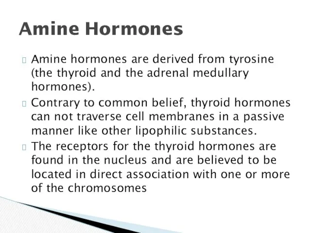 Amine hormones are derived from tyrosine (the thyroid and the