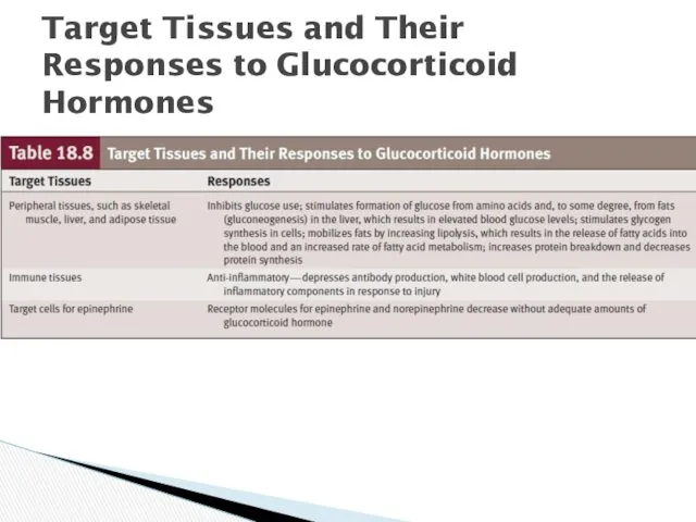 Target Tissues and Their Responses to Glucocorticoid Hormones