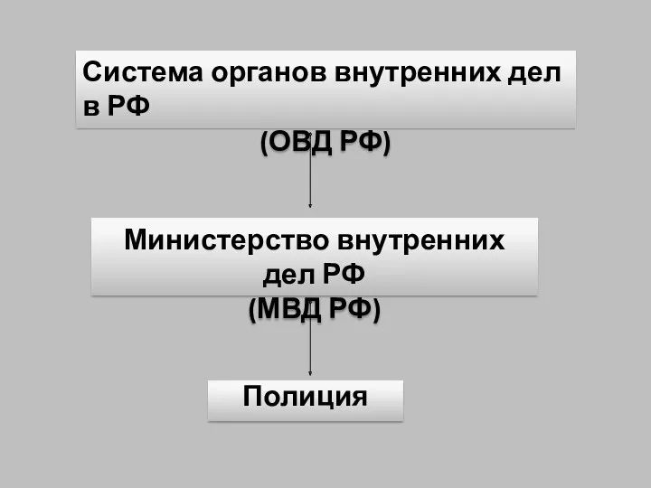 Система органов внутренних дел в РФ (ОВД РФ) Министерство внутренних дел РФ (МВД РФ) Полиция