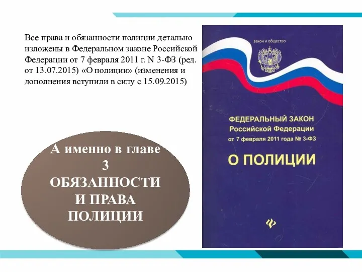 Все права и обязанности полиции детально изложены в Федеральном законе