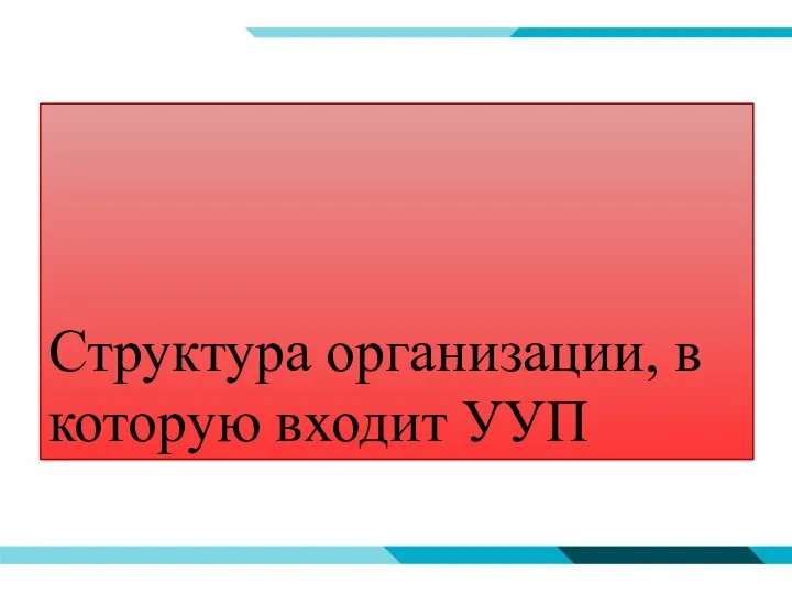 Структура организации, в которую входит УУП