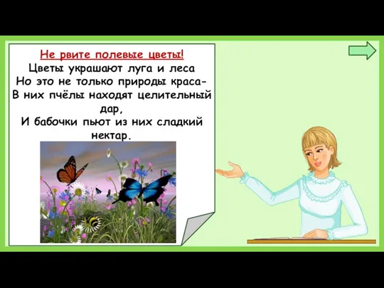 Не рвите полевые цветы! Цветы украшают луга и леса Но