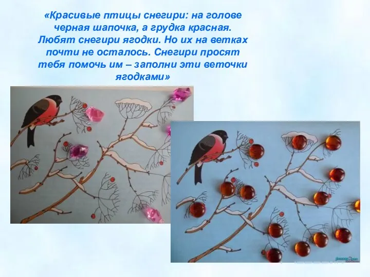 «Красивые птицы снегири: на голове черная шапочка, а грудка красная.