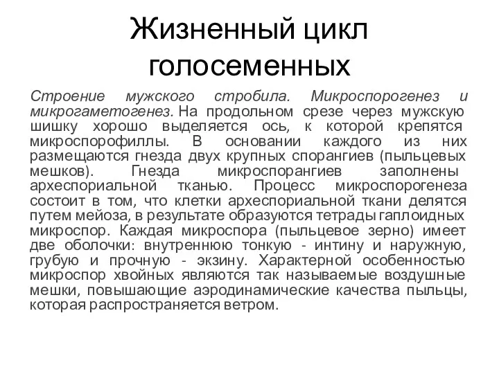 Жизненный цикл голосеменных Строение мужского стробила. Микроспорогенез и микрогаметогенез. На