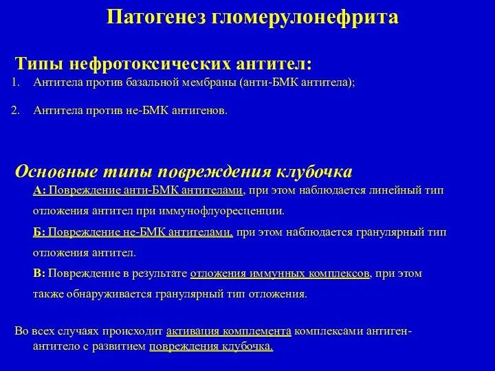 Типы нефротоксических антител: Антитела против базальной мембраны (анти-БМК антитела); Антитела