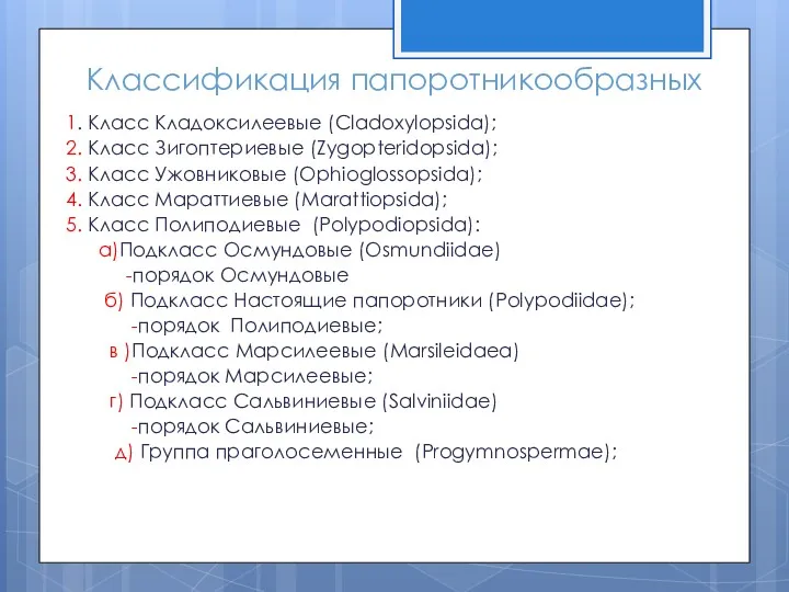 Классификация папоротникообразных 1. Класс Кладоксилеевые (Cladoxylopsida); 2. Класс Зигоптериевые (Zygopteridopsida); 3. Класс Ужовниковые