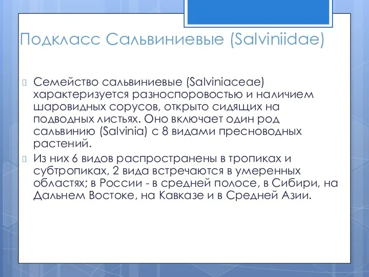 Подкласс Сальвиниевые (Salviniidae) Семейство сальвиниевые (Salviniaceae) характеризуется разноспоровостью и наличием шаровидных сорусов, открыто