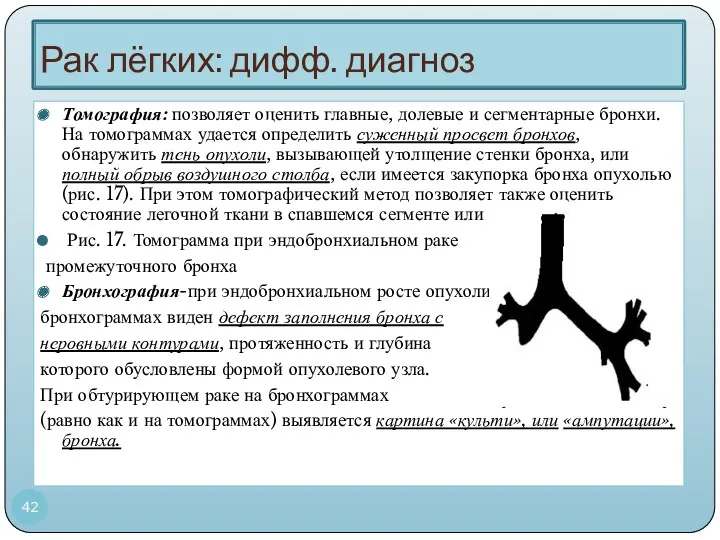 Рак лёгких: дифф. диагноз Томография: позволяет оценить главные, долевые и сегментарные бронхи. На