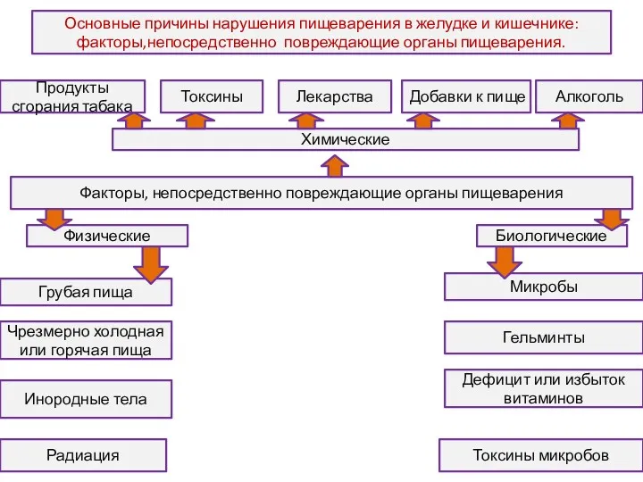 Основные причины нарушения пищеварения в желудке и кишечнике: факторы,непосредственно повреждающие