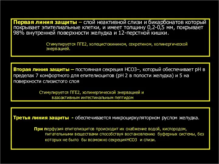 Первая линия защиты – слой неактивной слизи и бикарбонатов который покрывает эпителиальные клетки,