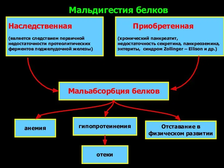 Наследственная (является следствием первичной недостаточности протеолитических ферментов поджелудочной железы) Мальдигестия белков Приобретенная (хронический