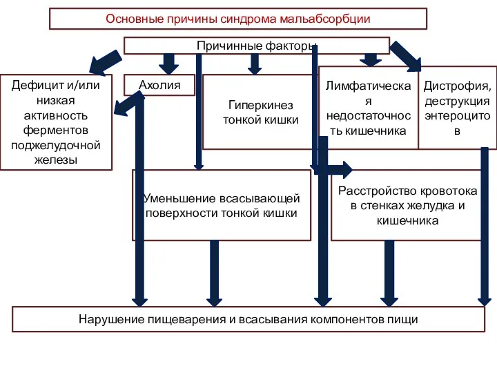 Основные причины синдрома мальабсорбции Причинные факторы Дефицит и/или низкая активность ферментов поджелудочной железы