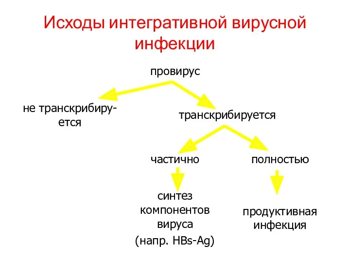 Исходы интегративной вирусной инфекции