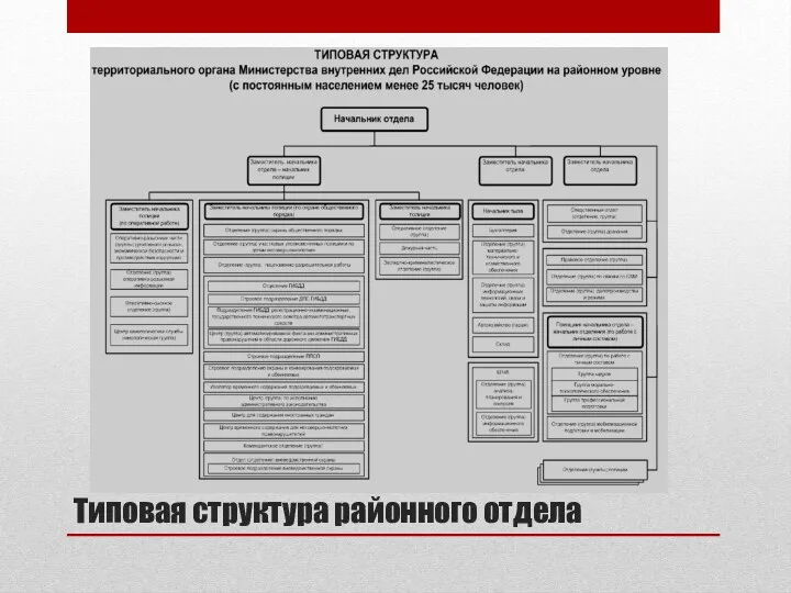 Типовая структура районного отдела