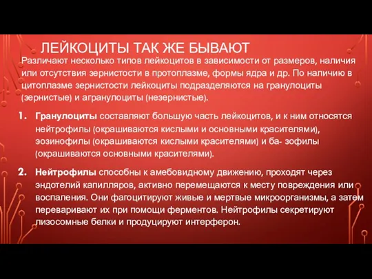 ЛЕЙКОЦИТЫ ТАК ЖЕ БЫВАЮТ Различают несколько типов лейкоцитов в зависимости